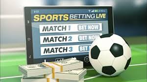 Explore the Exciting World of Pepeta Bet Your Ultimate Betting Experience